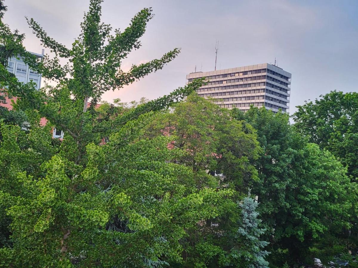 Gemutliches Sehr Zentral - An Der Uniklinik